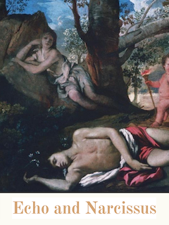 Echo and Narcissus img